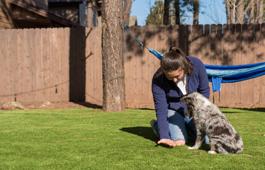 Woman training Australian shepherd puppy