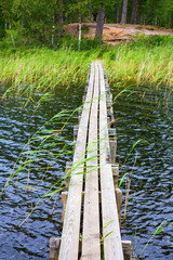 Fototapeta premium Jetty over the water to the beach at the forest