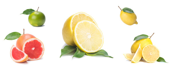 Citrus, fresh pink grapefruit and lemon, whole and slices, on a white background, close-up