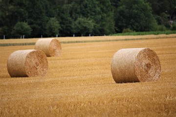 bales of hay