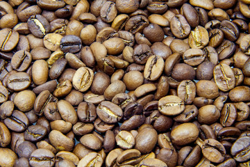 Roasted coffee beans