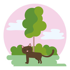 Cat cartoon design vector illustrator