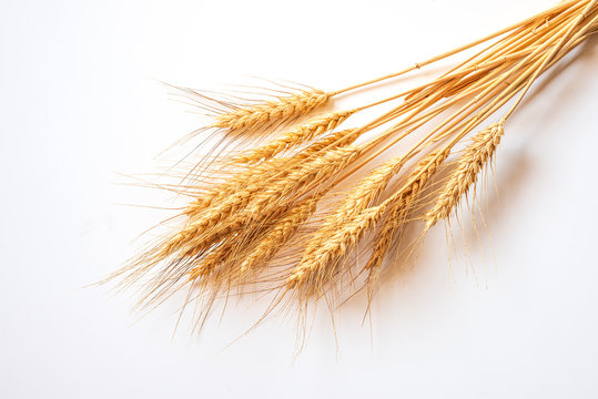 Mazzo di grano