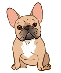 French bulldog cute sitting puppy with funny head tilt vector cartoon illustration isolated on white. Dogs, pets, animal lovers theme design element.
