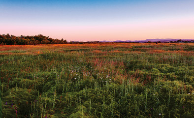 Landscape meadows with high grass in the foothills of the North Caucasus, beautifully lit summer soft setting sun