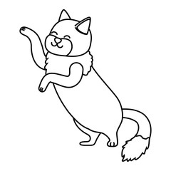 Cat cartoon design vector illustrator