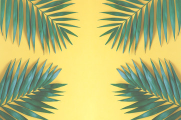 Large leaves of palm trees on an orange background.