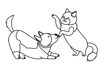 Cat and dog cartoon design