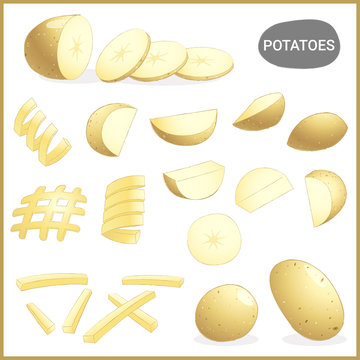 Set of fresh potatoes vegetable with various cuts and styles in vector illustration format