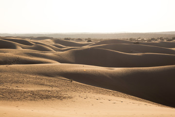 thar desert landscape, view of thar zone, in the rajasthan