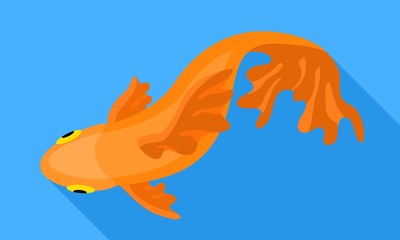 Top view gold fish icon. Flat illustration of top view gold fish vector icon for web design