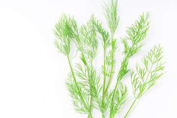 Fresh dill isolated on white background with copy space