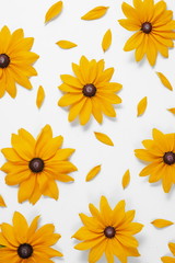 Flowers composition. Pattern made of yellow flowers on white background. Summer and autumn concept. Flat lay, top view, copy space