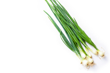 Fototapeta premium Fresh green chives isolated on white background