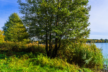 Obraz premium Autumn landscape on the Lake Biserovo, Moscow region, Russia.
