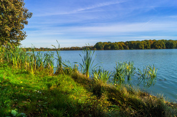 Autumn landscape on the Lake Biserovo, Moscow region, Russia.