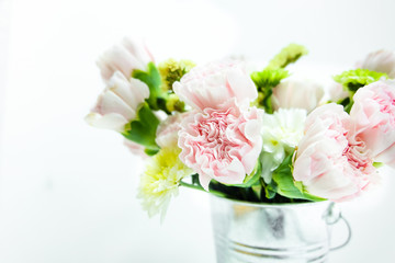 Beautiful carnation flowers in vase on background