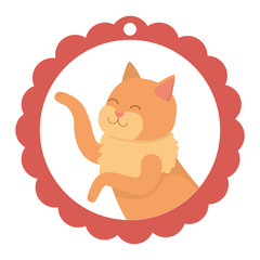 Cat cartoon design vector illustrator