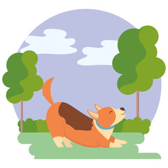Dog cartoon design vector illustrator