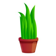 Succulent flowerpot icon. Cartoon of succulent flowerpot vector icon for web design isolated on white background