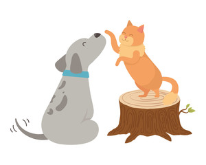 Cat and dog cartoon design