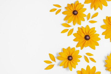 Yellow flowers represented on white background. Many flowers for decorating any post card or celebration card. Summer and autumn concept. Flat lay, top view, copy space