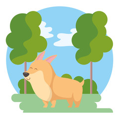 Obraz na płótnie Canvas Dog cartoon design vector illustrator