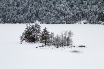 winter landscape with trees and snow