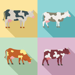 Cow icons set. Flat set of cow vector icons for web design