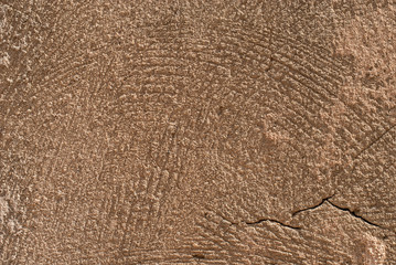 Closeup of old stone surface on the old street of Jaffa, Tel Aviv, Israel. Stone wall with beige tint. 