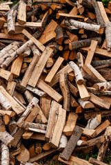 Split dry firewood ready for winter. Background of logs, birch, pine and oak