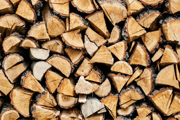 Split dry firewood ready for winter