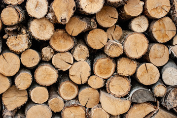 Split dry firewood ready for winter