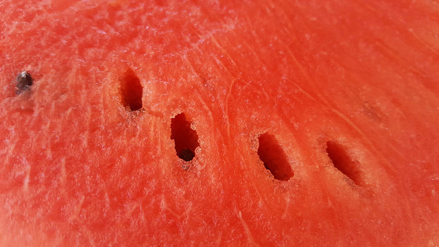 watermelon with seeds, texture, close up