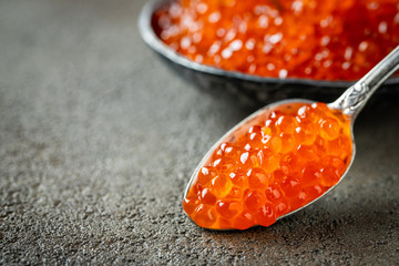 Close-up delicious red caviar in a spoon on a dark concrete background. With copy space