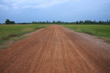 Fototapeta premium Rural roads in the countryside are surrounded by fields.