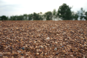 Rural roads in the countryside are surrounded by fields.