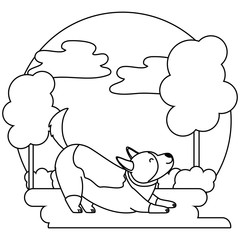 Dog cartoon design vector illustrator