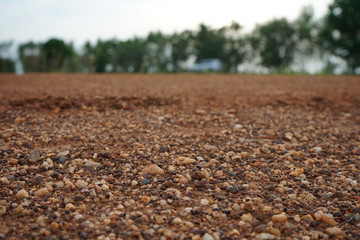 Rural roads in the countryside are surrounded by fields.