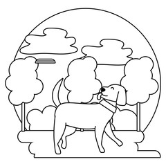 Dog cartoon design vector illustrator