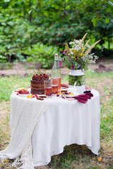 Summer picnic on nature, with a delicious chocolate cake, compote, berries, wild flowers