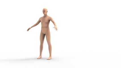 3d rendering of a human model isolated in white background