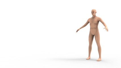 3d rendering of a human model isolated in white background