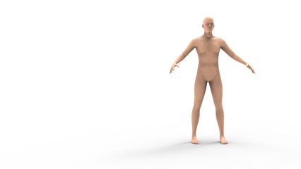3d rendering of a human model isolated in white background