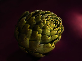Fototapeta premium dramatic artichoke