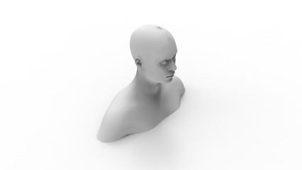 3d rendering of a human model isolated in white background
