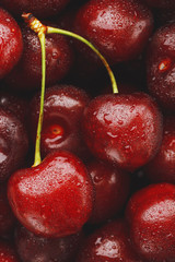Ripe and fresh berries of a sweet cherry with water drops closeup.