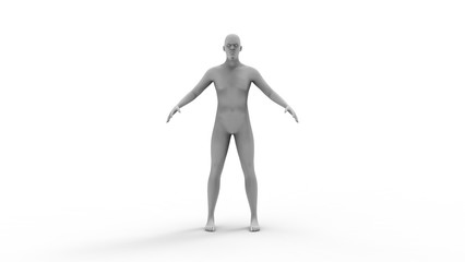 3d rendering of a human model isolated in white background