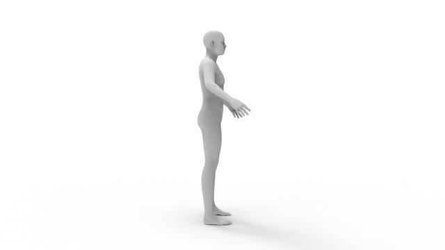 3d rendering of a human model isolated in white background
