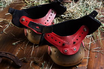 horseboots instead horseshoes layin gat wooden floor